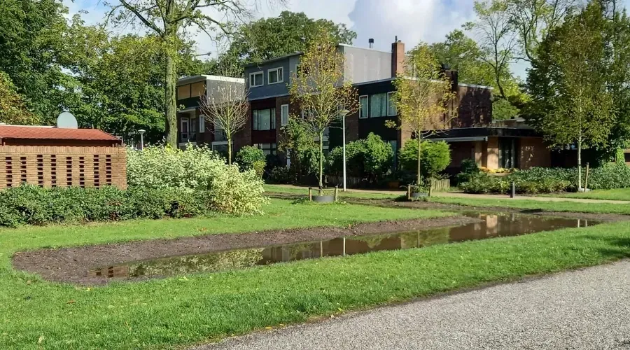Project Arthur Meerwaldtplantsoen